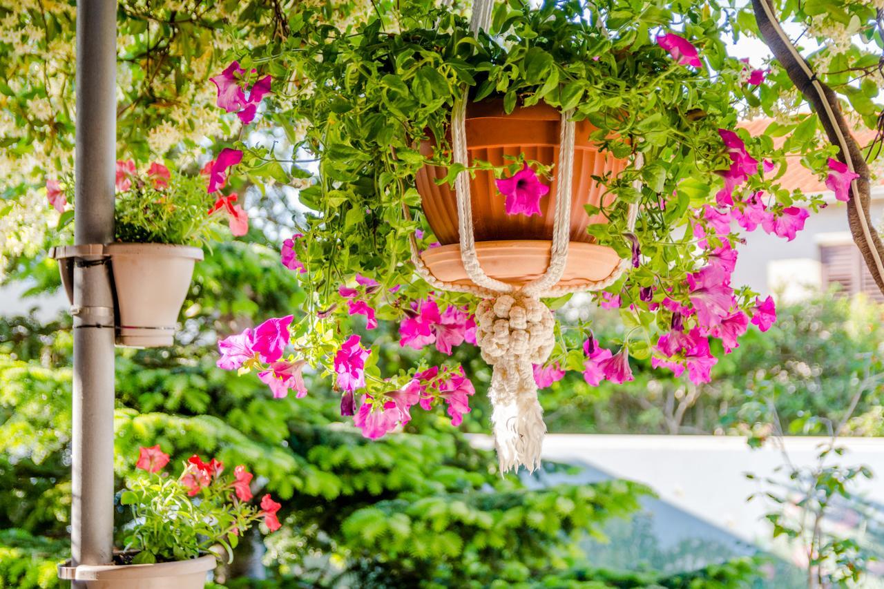 Apartments Villa Camellia - Adults Only Supetar Exteriér fotografie